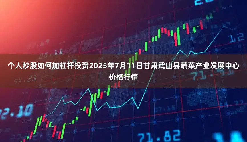 个人炒股如何加杠杆投资2025年7月11日甘肃武山县蔬菜产业发展中心价格行情