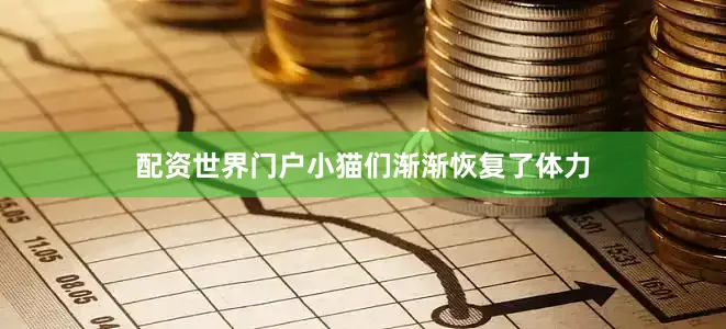 配资世界门户小猫们渐渐恢复了体力
