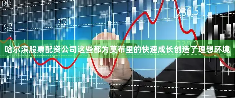 哈尔滨股票配资公司这些都为莫布里的快速成长创造了理想环境