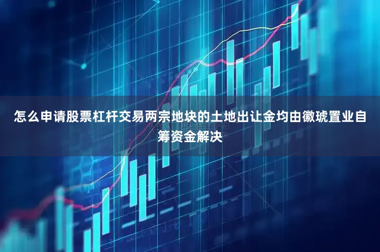怎么申请股票杠杆交易两宗地块的土地出让金均由徽琥置业自筹资金解决