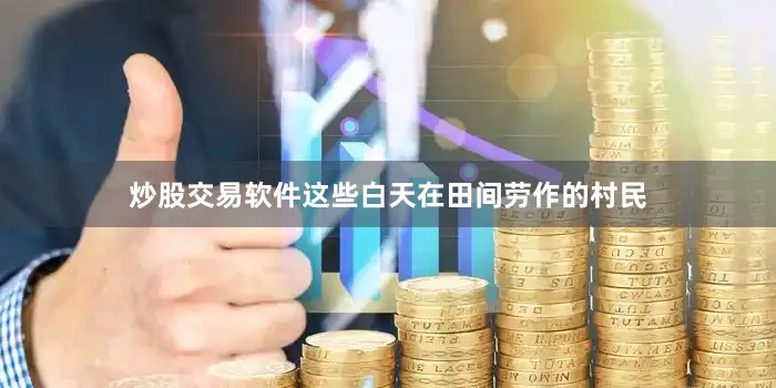 炒股交易软件这些白天在田间劳作的村民