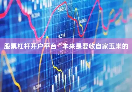 股票杠杆开户平台　　“本来是要收自家玉米的